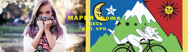 apvp Алзамай