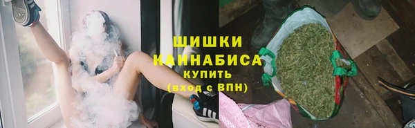 ПСИЛОЦИБИНОВЫЕ ГРИБЫ Алексин
