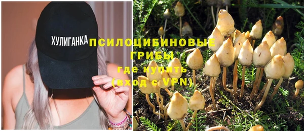 spice Абинск