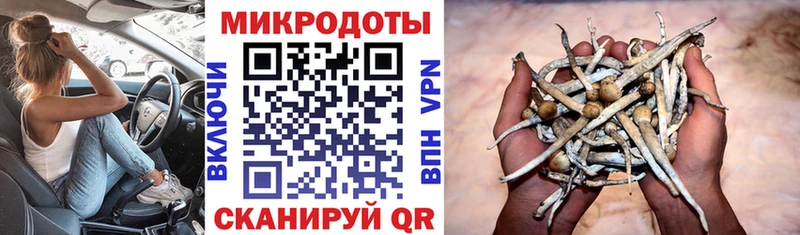 мега ТОР  цены наркотик  Сорочинск  Псилоцибиновые грибы Psilocybe 